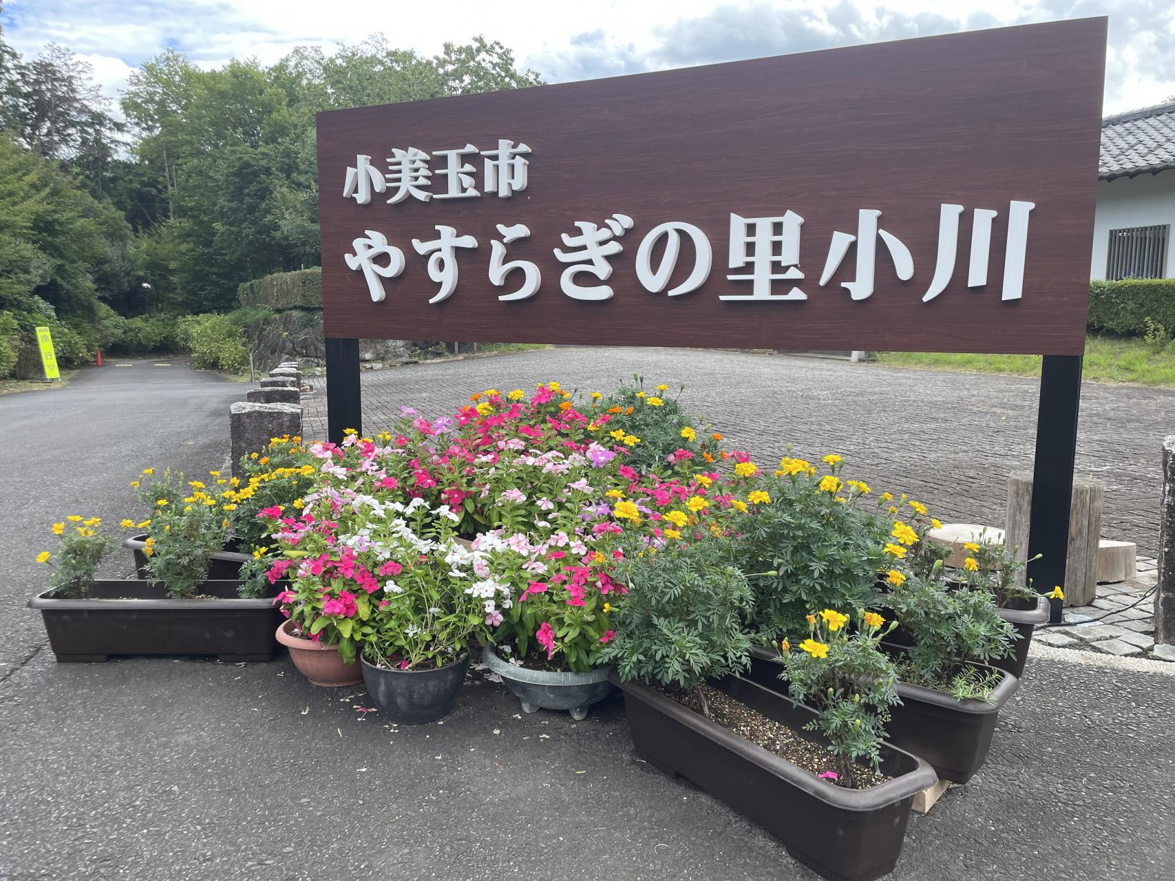 入口看板 入口看板