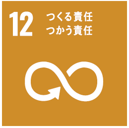 エスディーディーズ12 エスディーディーズ12