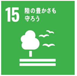 エスディーディーズ15 エスディーディーズ15