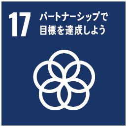 エスディーディーズ17 エスディーディーズ17